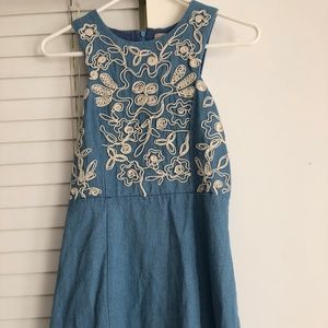 Denim Mini Dress with Embroidery